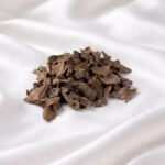 قواقع العود الاندنوسي